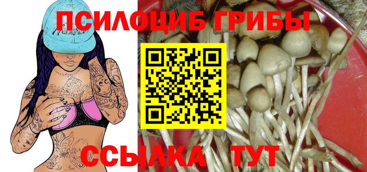 Галлюциногенные грибы мицелий  Вход с VPN  Кубинка 